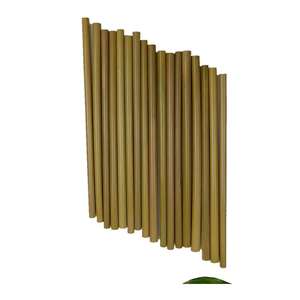 Lujia <b>Bamboo</b> <b>Straws</b> Biodegradable 20pcs Set For Beverage Milk Tea Home Catering Use - Product Image 5