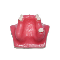 Pratique d'éducation médicale Modèle oral Modèle dentaire de sinus maxillaire Modèle dentaire de pratique orale