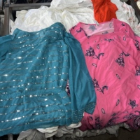 Stok Gudang Pakaian Bekas Wanita Multi-Gaya Kaos Lengan Panjang Spesial Pakaian Bekas Langsung dari Pabrik