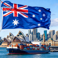 Grand démarrage : Agent maritime, transitaire, tarifs de fret maritime, fret maritime 10 pieds LCL + Express vers l'Australie et le Canada avec DDP