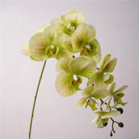Orchidée Phalaenopsis Artificielle Haut de Gamme Effet Naturel à 9 Têtes pour Décoration Intérieure de Luxe et Événements de Mariage