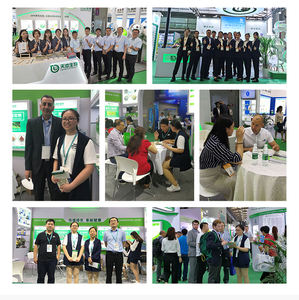 Somalia Gum mirra resina incenso e mirra mirra resina in polvere Commiphora mirra estratto di prezzo - Product Image 4