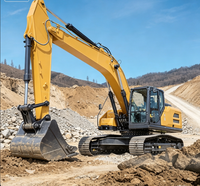 Excavatrice sur chenilles hydraulique 25,8 tonnes XE245G, godet de 0,9-1,5 m³, haute efficacité pour travaux de terrassement