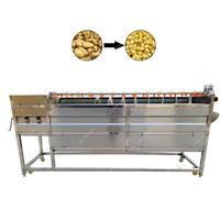 Type de brosse électrique taro, manioc, gingembre, carotte, machine de nettoyage et d'épluchage de pommes de terre/machine de nettoyage et d'épluchage de tambour de laine