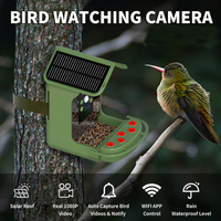 Mangeoire à oiseaux anti-écureuil avec caméra d'observation des oiseaux, mangeoire intelligente avec prise de vue nocturne