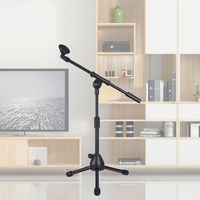 Support de microphone professionnel avec bras télescopique Best Seller