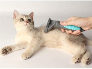 Un peigne à double usage Ustensiles de toilettage Peigne d'épilation pour animaux de compagnie Float Hair Removal Slicker Brush Pet Sharding Tool - Product Image 5