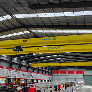 مصنع صيني مورد WEIYUAN LDA نوع كهربائي 5-20 طن بمحرك ومحرك للبيع - Product Image 5