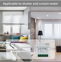 SLS Tuya WiFi RF433 Module de commutateur de rideau aveugle Max 16A courant pour volet roulant fonctionne Google Home Alexa Smart Home System
