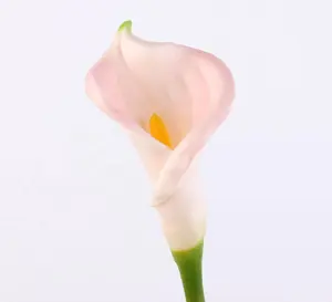 FC1001 домашнее украшение реальный на ощупь искусственный цветок Обычная Калла Лилия разные цвета искусственная Калла цветок лилии для продажи