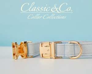 Ensemble laisse et collier personnalisés Lihtblue Veet avec boucle en métal gravée sur mesure, cadeau d'anniversaire pour chiot gratuit - Product Image 5