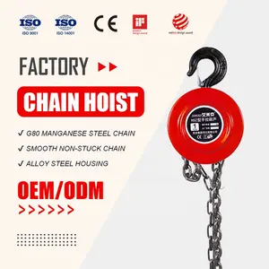 China Upgrade Hot Sale Op Maat Gemaakte Handkettingblok 1 Ton 2 Ton 3 Ton Hsz Type Ketting Katrol Hijsapparatuur