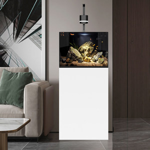 <span class=keywords><strong>Acuario</strong></span> RUIBIT 2026 Nuevo con Filtro de Fondo de Vidrio Ultra Blanco, Rectangular, <span class=keywords><strong>para</strong></span> Peces Dorados, <span class=keywords><strong>para</strong></span> Sala de Estar, Estudio, Hogar - Product Image 1