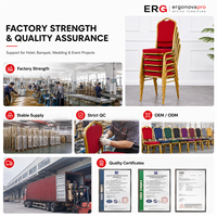 Silla Ergonovapro para Banquetes, Hoteles, Bodas, Eventos, Restaurantes, Conferencias, Apilable, de Aluminio Dorado, Tapizada, para Comedor y Sala de Estar