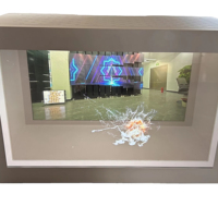 Pantalla LCD Transparente OLED de 55 Pulgadas Directo de Fábrica, Pantalla Publicitaria Digital Inteligente Ultraclara para Tiendas Minoristas y Metro