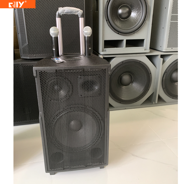 PL-4410 Series 150W/200W/250W Active Trolly Speaker with Metal 2 CH UHF Handheld Mic FM Radio, Blue-tooth Playback, Record, EQ