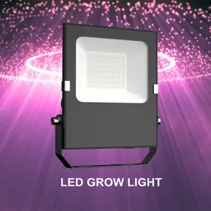 Luz LED profissional para cultivo de plantas comerciais, 5 anos de garantia, 50w, 100w, 240w, 400w, 480w, 600w, alta potência, ETL CE