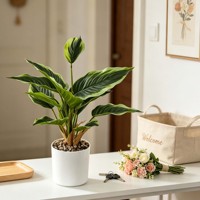 Tanaman Hosta Buatan dalam Pot Silinder Putih Modern Buatan Tangan Daun Palsu Berwarna-warni Realistis untuk Dekorasi Meja Pintu Masuk Rumah.