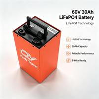 Baterai Lithium Iron Phosphate 60V 30Ah Tanpa Perawatan LiFePO4 Output Tinggi 45A Pengosongan Kontinu Cocok untuk Becak Listrik