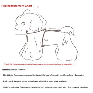 Düşük Minimum Sipariş Adedi Çok Renkli Yazlık Açık Hava Su Güvenlik Ekipmanı Nefes Alabilen Yelek Ceket Küçük Orta Boy Köpekler İçin Evcil Hayvan Giysisi - Product Image 6
