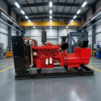 Groupe électrogène industriel de secours au gaz, 300 kW, triphasé, à châssis ouvert, refroidi par eau, 50/60 Hz, démarrage automatique à distance