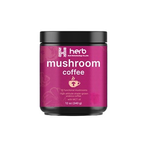 OEM/ODM Café Instantáneo en Polvo de Matcha con Hongos Naturales, Mezcla de Melena de León y Chaga para Concentración e Inmunidad, 5g por Porción para Adultos - Product Image 1