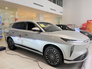 Dongfeng Fengshen L8 PHEV 2025 Édition Idéale 112KM, Véhicule Électrique, Autonomie Étendue 1339km, Recharge Rapide 0.3h, SUV 5 Places - Product Image 2
