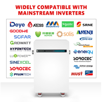 Batterie au lithium LiFePO4 15 kWh 16 kWh 20 kWh 48 V 300 Ah 400 Ah pour stockage d'énergie solaire avec BMS intelligent OEM