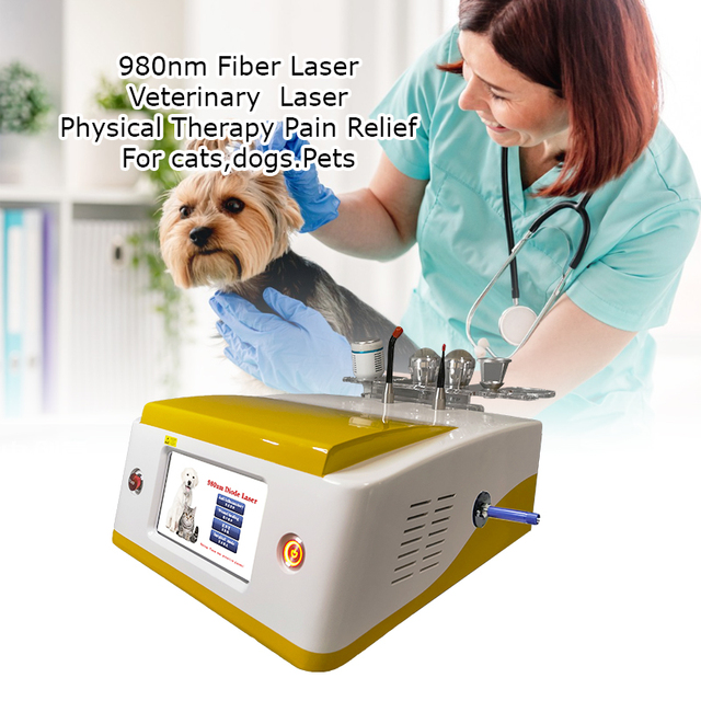 Class IV 810nm 980nm 1064nm Laser Therapy Physiotherapy Machine for Animals Pets Injury Healing Customization Laser Device