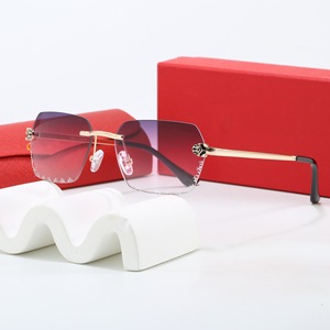 Occhiali da Sole Senza Montatura Quadrati Classici di Alta Qualità per Uomo e Donna, Design Personalizzato con Logo, Moda 2026 - Product Image 6