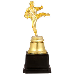 Coupe <span class=keywords><strong>du</strong></span> trophée <span class=keywords><strong>de</strong></span> la compétition <span class=keywords><strong>de</strong></span> taekwondo en or personnalisé en matière plastique pour le sport - Product Image 5