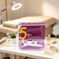 Système de dermaroller en titane 5 en 1 prêt à l'emploi en gros, service OEM & ODM pour marque privée personnalisée, boîte de rangement antichoc, soins de la peau