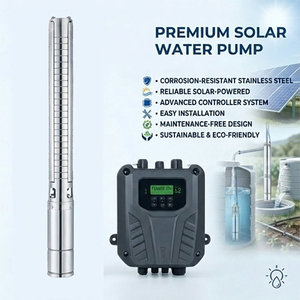 CE Certified High Efficiency High Pressure Stainless Steel Manual Control Solar <b>Submersible</b> <b>Pump</b> for Garden Irrigation - Product Image 3