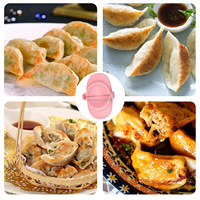Dumpling Maker Set Handgemaakte Dumplings Confusion Pies Keuken Kookgerei Voedselveilige materialen Dumpling-maakmachine