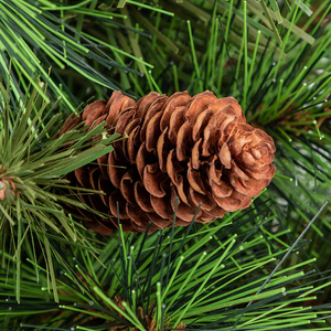 Co-Arts Table Top Arbre de Noël en pin de Xiamen - Product Image 4