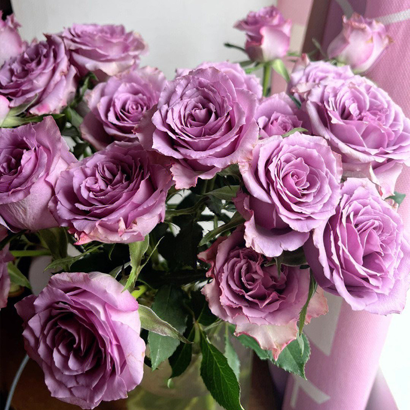 20 selected purple roses of c-d grade