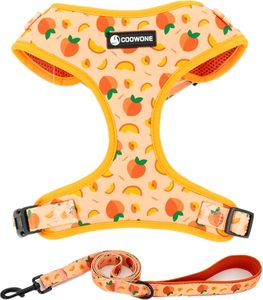 Juego de arnés y Correa, arnés ajustable, correa para perros, arneses para cachorros sin estrangulamiento, entrenamiento para caminar para mascotas pequeñas, medianas y grandes - Product Image 1