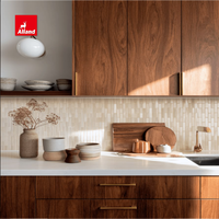 Meuble de cuisine en contreplaqué mélaminé style bois grainé moderne Alland, design luxueux, facile à assembler