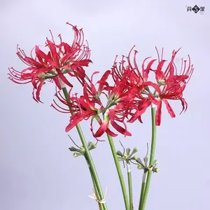 Nouveau design fleurs <span class=keywords><strong>higanbana</strong></span> artificielles fleurs de lys araignées décoratives - Product Image 4