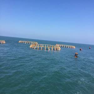 กระชังปลา HDPE ลอยน้ำป้องกันพายุไต้ฝุ่น |   กรงเลี้ยงสัตว์น้ำทะเลน้ำลึกแบบหนัก - Product Image 1