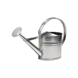 Regadera de metal galvanizado plateado de 10 l - Product Image 1