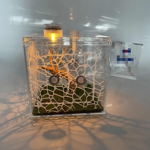 Wholesale High Clear Lucite Acrylic Jumping <b>Spider</b> Feeding Cage Reptile Enclosure for Breeding Observation Display - Product Image 4