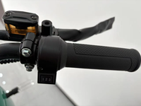 Moteur 800W 1000W Chine 2 roues Adulte Pas Cher E-Moped Vélo Cargo VTT Vélo de Route Fat Bike Vélo Pliant Urbain 48V/60V/72V 40-60km/h