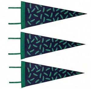 Professional Customizable Digital Printing University Felt Triangle <b>Banners</b> Portable Waterproof Eco-Friendly - Product Image 3