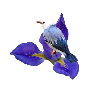 Pha Lê Slate Kỹ Thuật Số Sơn Dầu Gallery Bọc Vải Hoa Chủ Đề Thân Thiện Với Môi Tùy Chỉnh Kích Thước Trang Chủ Trang Trí Tường Nghệ Thuật - Product Image 1