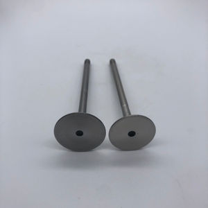 อะไหล่เครื่องยนต์ วาล์วไอดี วาล์วไอเสีย วาล์วเครื่องยนต์แบบฟอร์จ สำหรับ Lamborghini R8 5.2 V10 AUDI VW 4.2 V8 BAR BAT <span class=keywords><strong>3</strong></span>.2L V6 <span class=keywords><strong>3</strong></span>.0T - Product Image 3