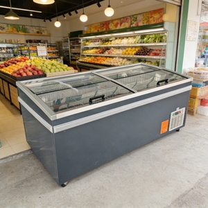 Vitrine Réfrigérée Commerciale Horizontale pour Crèmes Glacées, Viandes et Thon – Congélateur Coffre Combiné - Product Image 1
