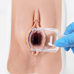 Simulatore di Esame Ginecologico Versione Realistica, Simulatore in Silicone, Modello Didattico - Product Image 2