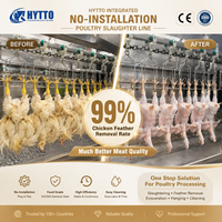 Ligne d'abattage de volailles 300-1000BPH CE ISO pour abattoirs de petite et moyenne taille, équipement d'abattage de poulets sans ligne d'installation
