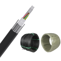 Cable de Fibra Óptica FTTH de 2 Km, GJYXCH, con Refuerzo, 2*5mm
